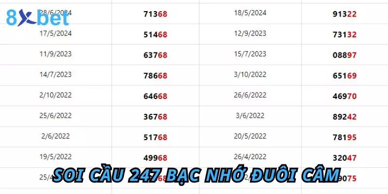 Phương pháp soi cầu 247 bạc nhớ đuôi câm